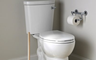 What to Do When Your Toilet Won’t Flush but Isn’t Clogged