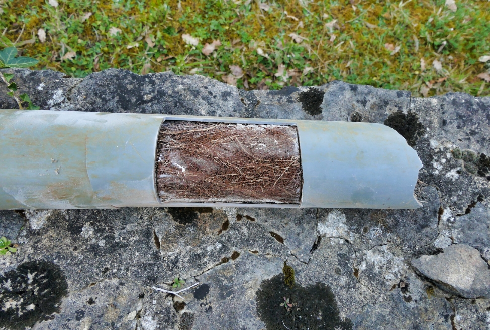 Close-up of a damaged residential drain pipe showing signs of leakage and root damage, commonly searched by homeowners looking for how to repair a damaged drain pipe, leaking drain pipe repair, cracked pipe fix, and professional plumbing services like pipe repair and drain line replacement by Neighborhood Plumbing. Call us now for help with how to repair a damaged drain pipe, fix leaking drain pipe, drain pipe repair near me, cracked drain pipe repair, underground pipe repair, broken sewer pipe fix, plumbing pipe leak repair, drain line replacement, damaged pipe under sink, pvc drain pipe repair, pipe patching services, pipe repair company near me, plumbing repair near me, residential pipe repair, drain pipe crack seal, emergency plumbing repair, bathroom drain pipe repair, basement pipe leak fix, plumbing services in Salt Lake City, sewer line repair near me, professional drain pipe repair, affordable plumbing repair, pipe replacement near me.