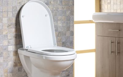 What Are the Most Common Problems in the Toilet?