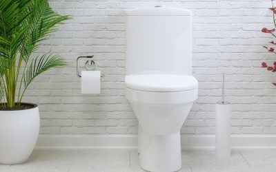 How Much Do Plumbers Charge to Install a Toilet?