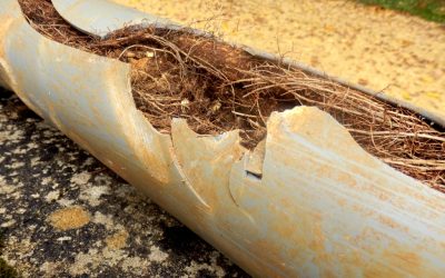 How to Get Rid of Roots in a Sewer Line