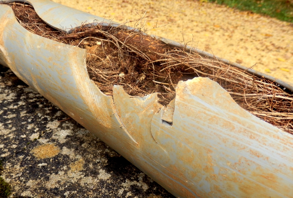 Roots in a sewer pipe causing blockages, sewer line repair, tree root removal, main line cleaning, plumbing services by Neighborhood Plumbing, professional sewer maintenance, how to get rid of roots in a sewer line. Call us today for help with how do you get rid of roots in a sewer line, sewer root removal, main sewer line cleaning, tree root intrusion in pipes, clogged sewer line repair, sewer line maintenance, sewer pipe root cutting, hydro jetting for roots, sewer excavation and repair, sewer line inspection, emergency sewer services, plumbers for sewer line issues, sewer line root removal near me, clogged drain repair near me, main line cleaning near me, sewer repair services near me, plumbing services for root removal, root intrusion repair in sewer line, sewer line blockage solutions.